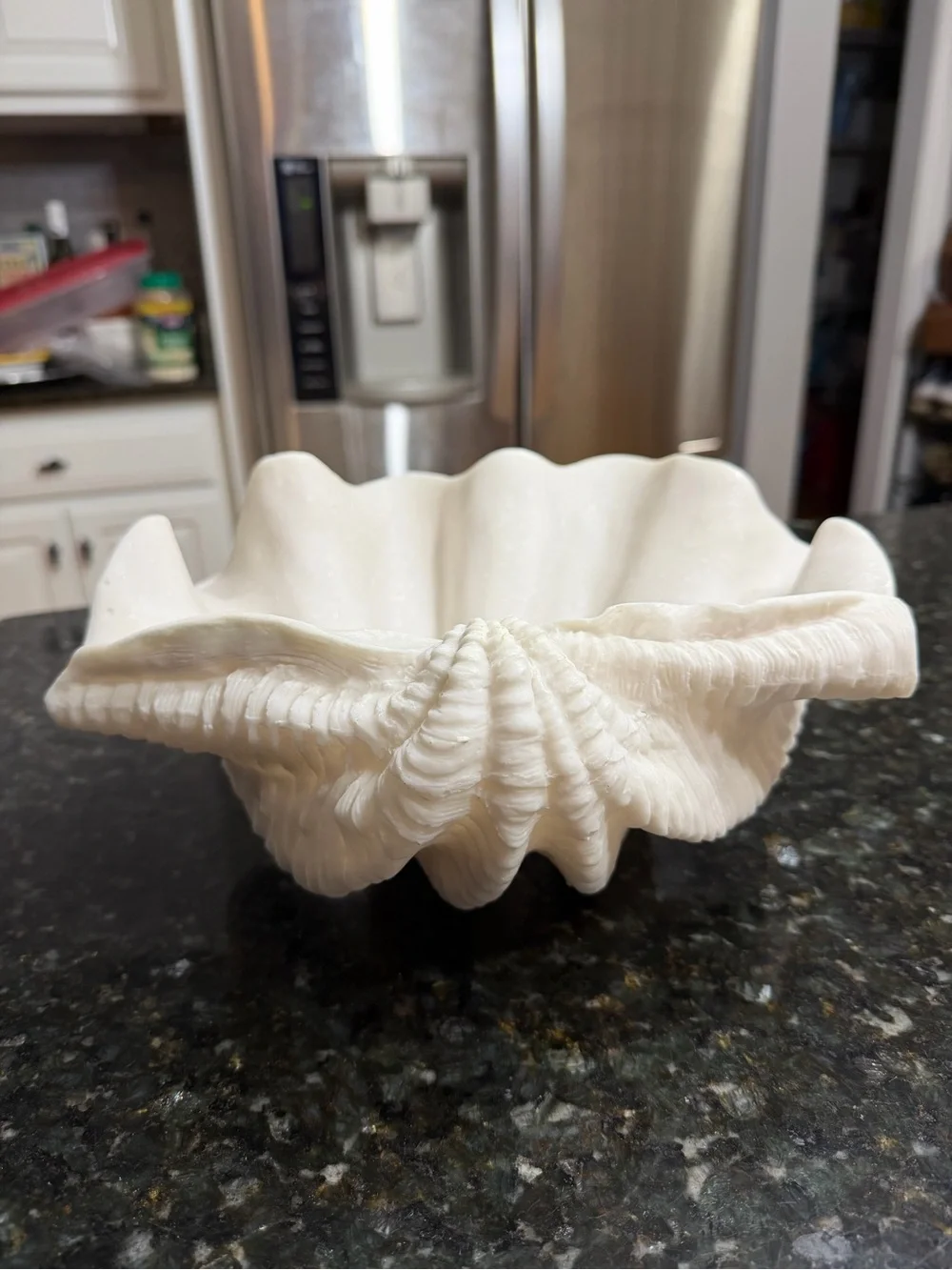 Sculptural White Giant Clam Shell Decorative Bowl Coastal Decor